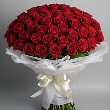 Букет 101 Красная роза Блэк Мэджик в Новомеловатке