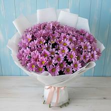 Букет цветов из:  Хризантемы в Новомеловатке