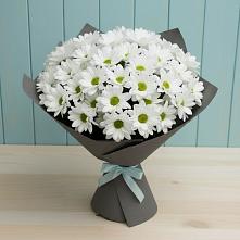 Букет цветов из:  Хризантемы в Новомеловатке