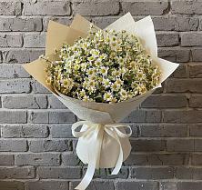 Букет цветов из:  Ромашки #REPLACE_PRED# Новомеловатке