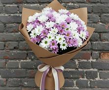 Букет цветов из:  Хризантемы в Новомеловатке