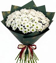 Букет цветов из:  Хризантемы #REPLACE_PRED# Новомеловатке