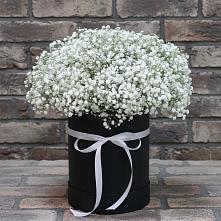 Цветочная композиция из Гипсофила в шляпной коробке в Новомеловатке