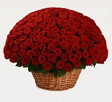 Премиум букет из: Розы #REPLACE_PRED# Новомеловатке