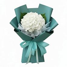 Букет цветов из:  Гортензия в Новомеловатке